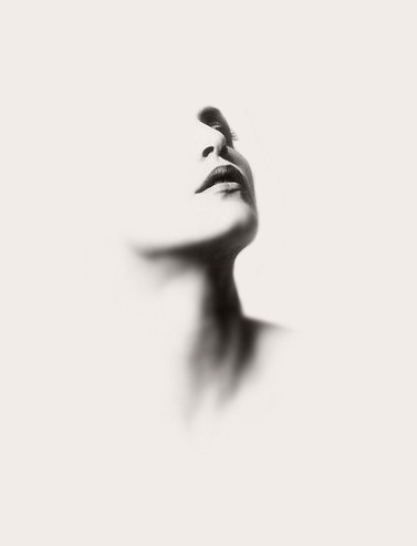 Archillect ID 24602