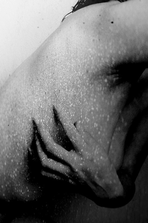 Archillect ID 24628