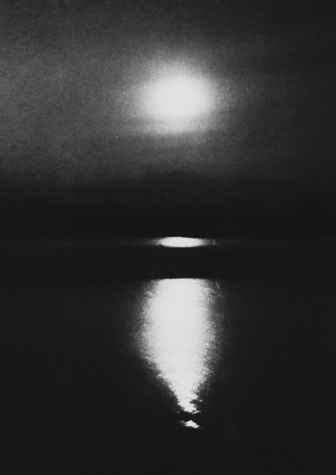 Archillect ID 24637