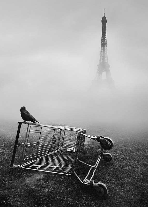 Archillect ID 24666