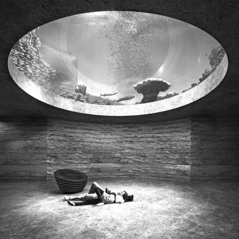 Archillect ID 24686