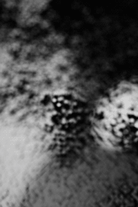 Archillect ID 24735