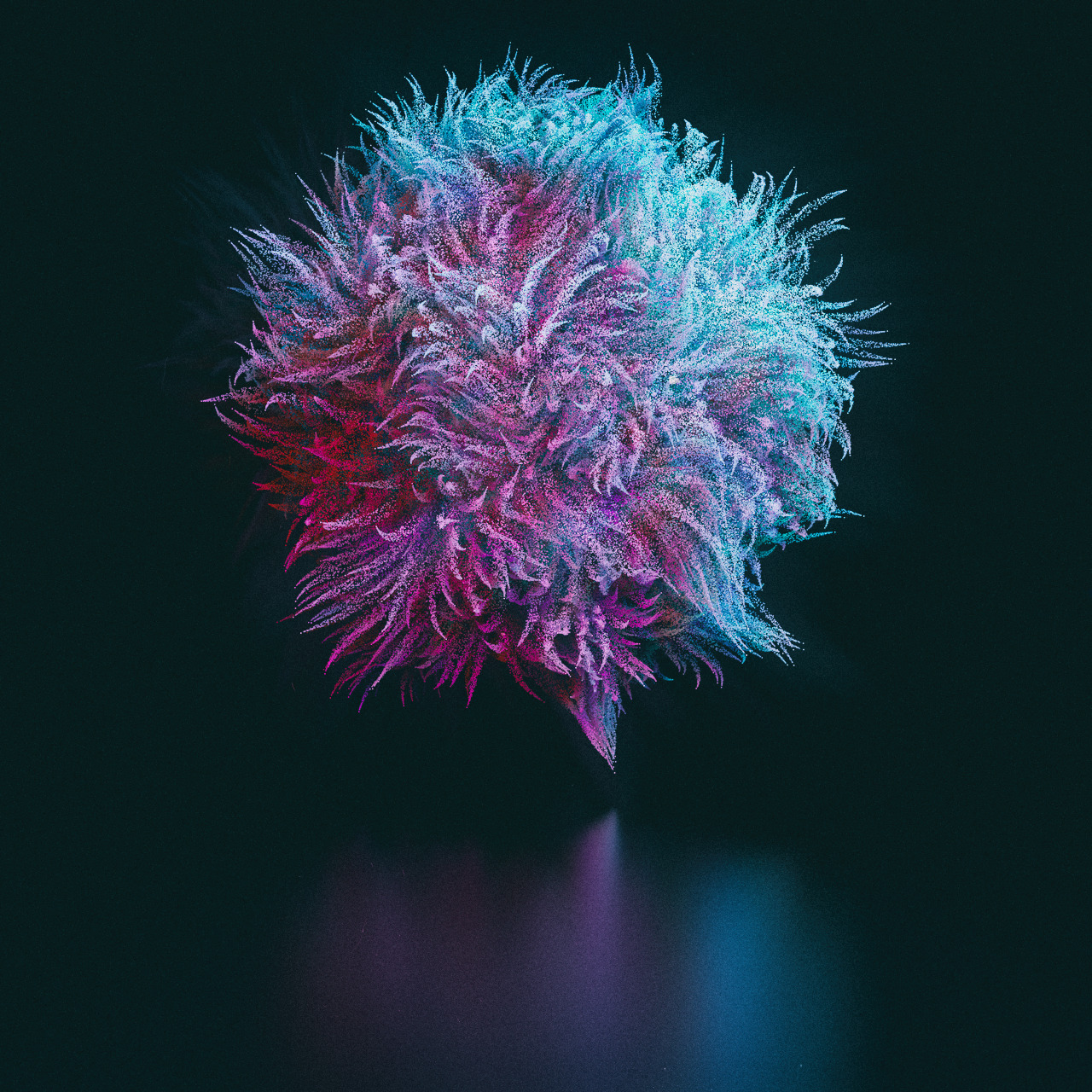 Archillect ID 24813