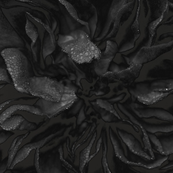 Archillect ID 24891