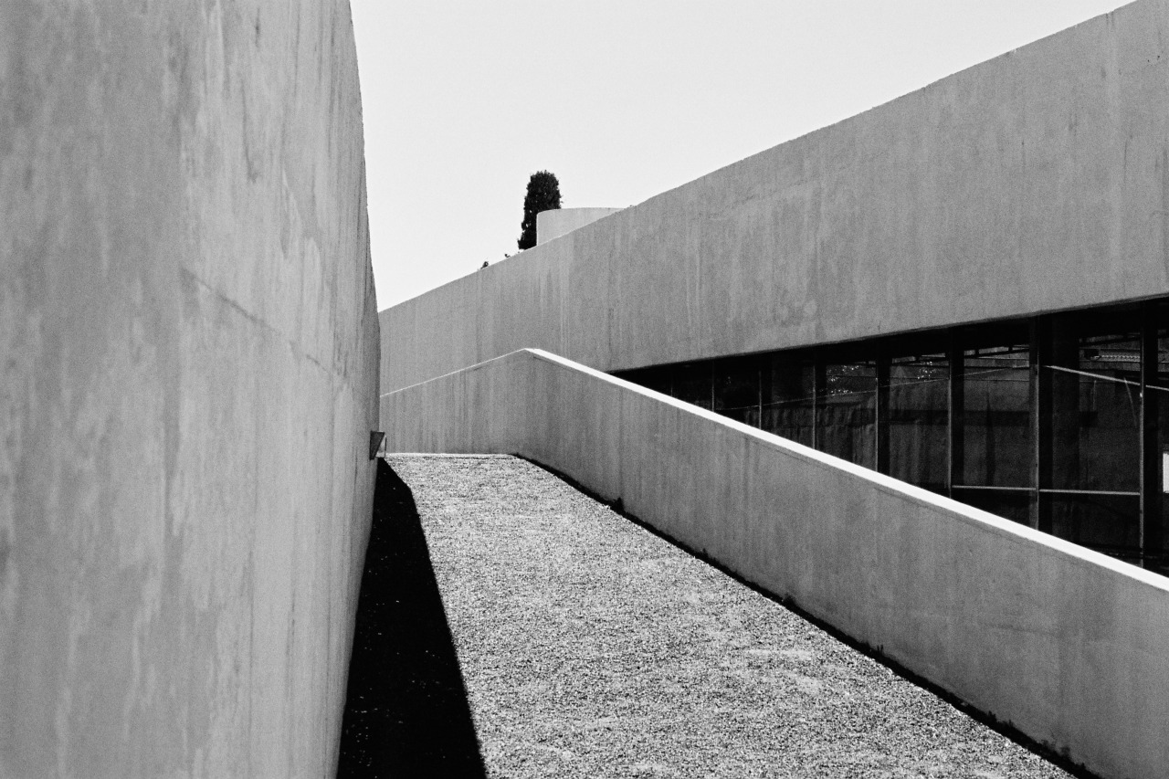 Archillect ID 24955