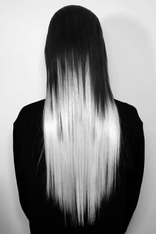 Archillect ID 24966