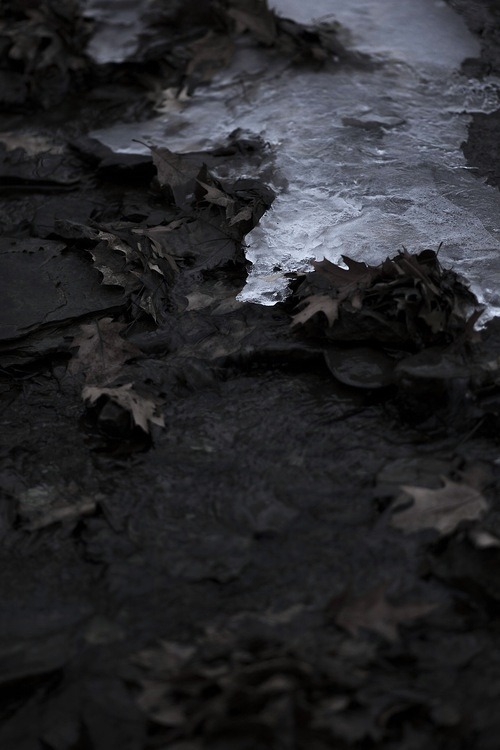 Archillect ID 24971