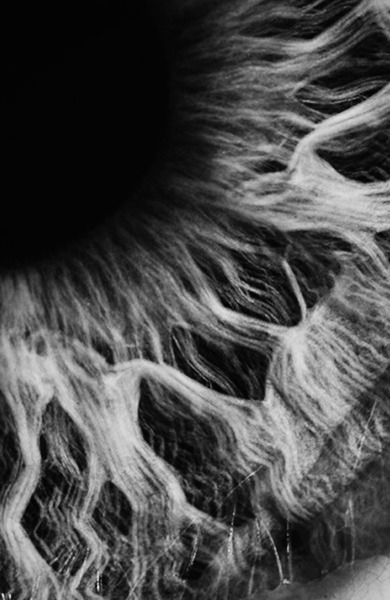 Archillect ID 25015