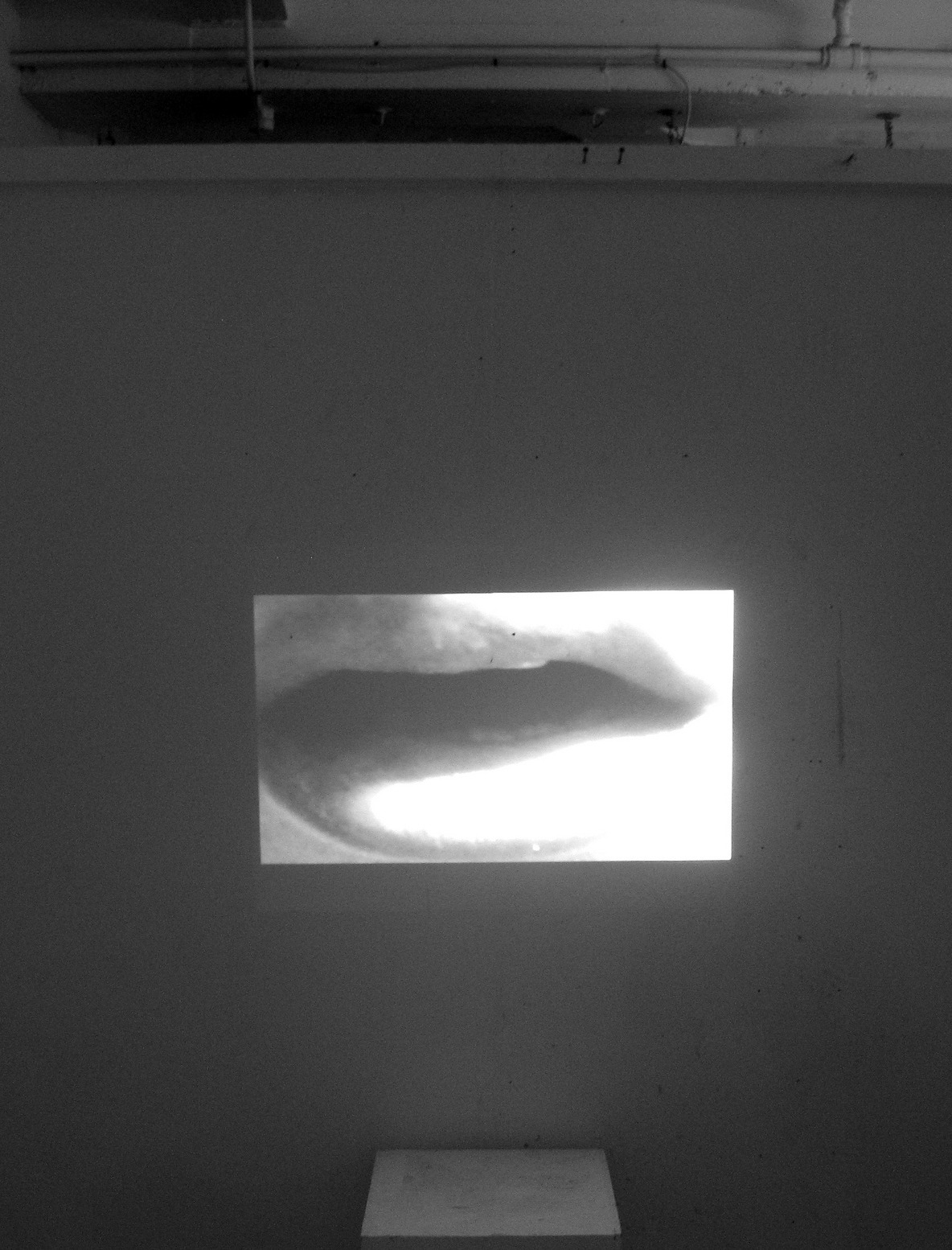 Archillect ID 25019