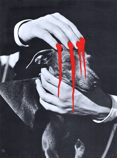 Archillect ID 25048