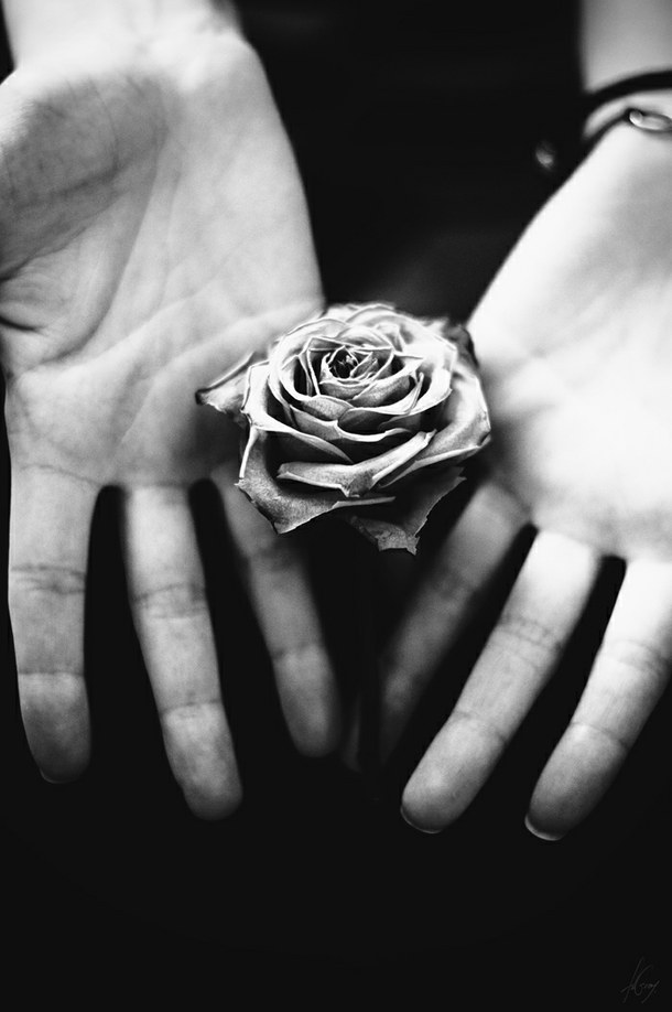 Archillect ID 25094