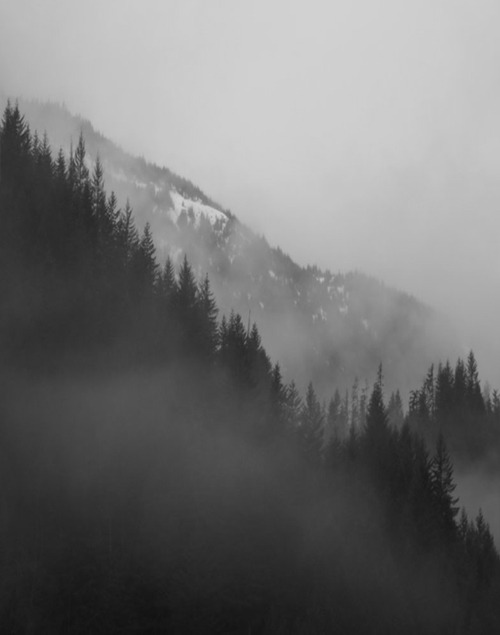 Archillect ID 25112