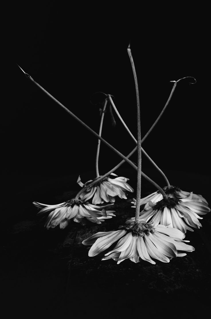 Archillect ID 25213