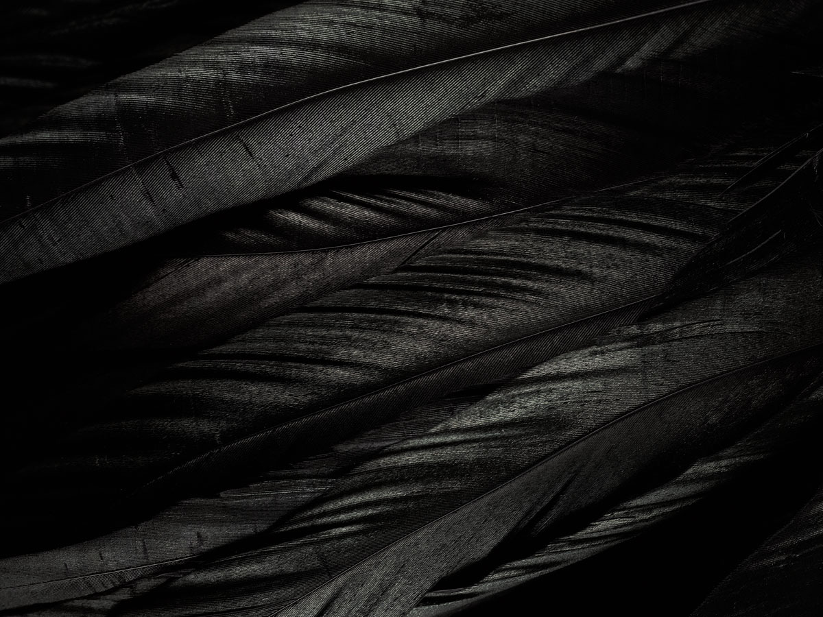 Archillect ID 25248