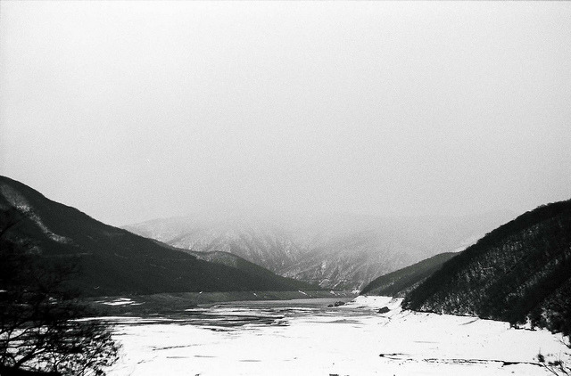 Archillect ID 25370