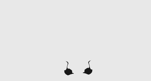 Archillect ID 25384