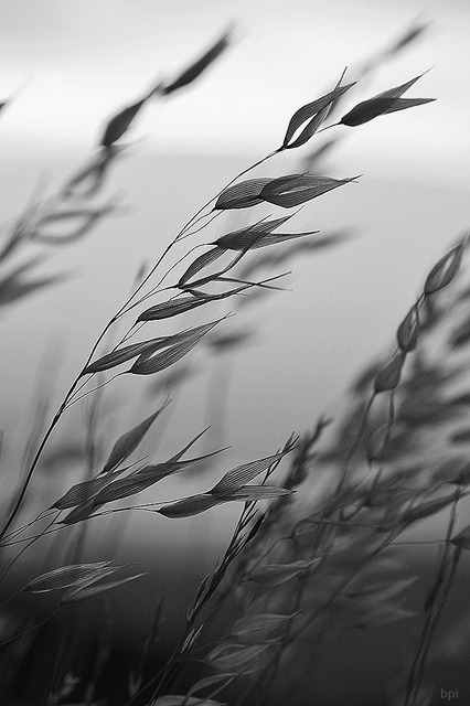 Archillect ID 25392