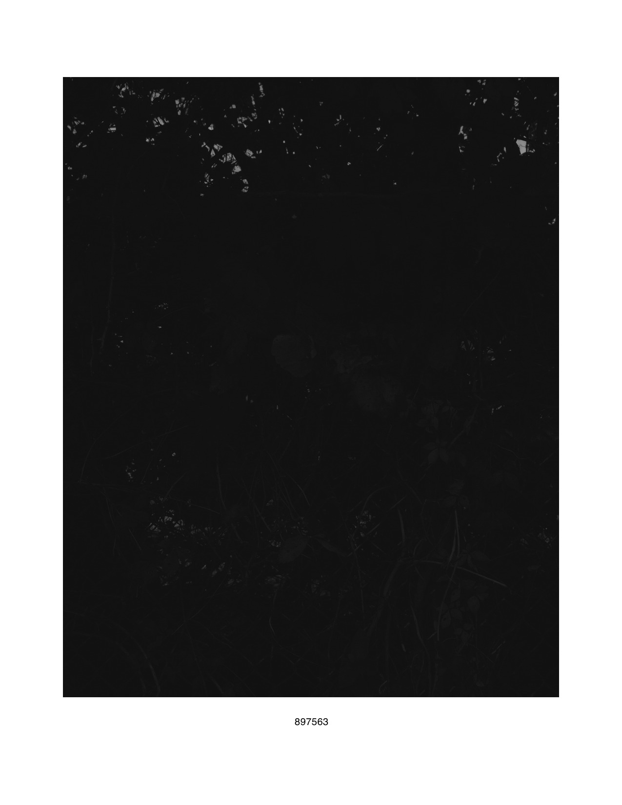 Archillect ID 25451