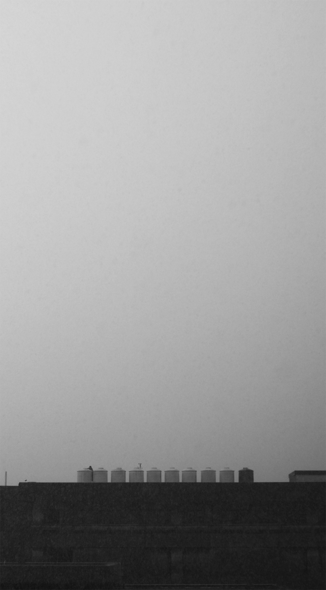 Archillect ID 25551