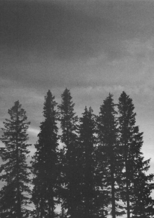 Archillect ID 25561