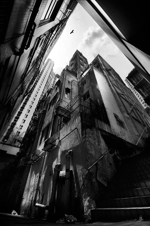 Archillect ID 25586