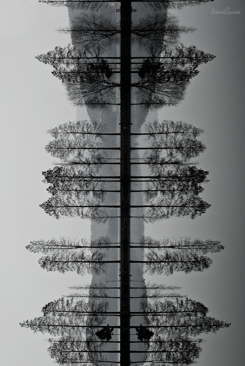 Archillect ID 25615