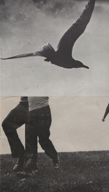 Archillect ID 25718