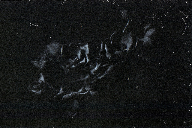 Archillect ID 25755