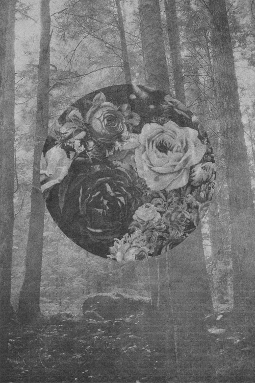 Archillect Archive ID 25955