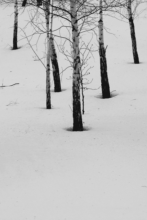 Archillect Archive ID 25976