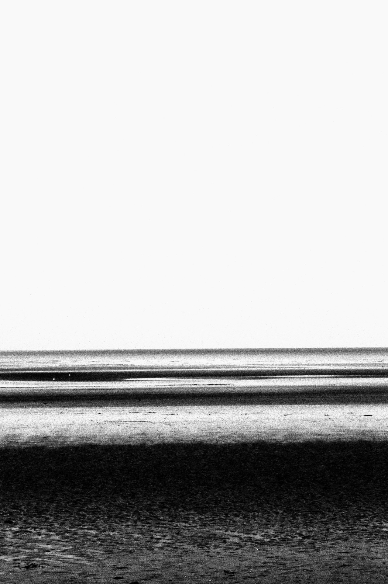 Archillect Archive ID 25977