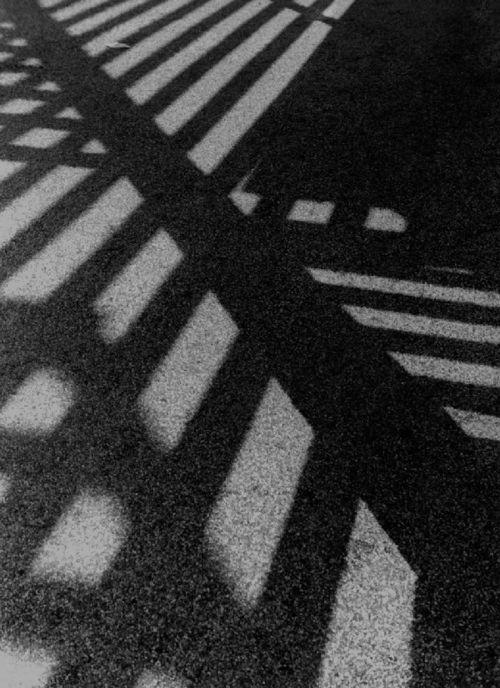 Archillect ID 25989
