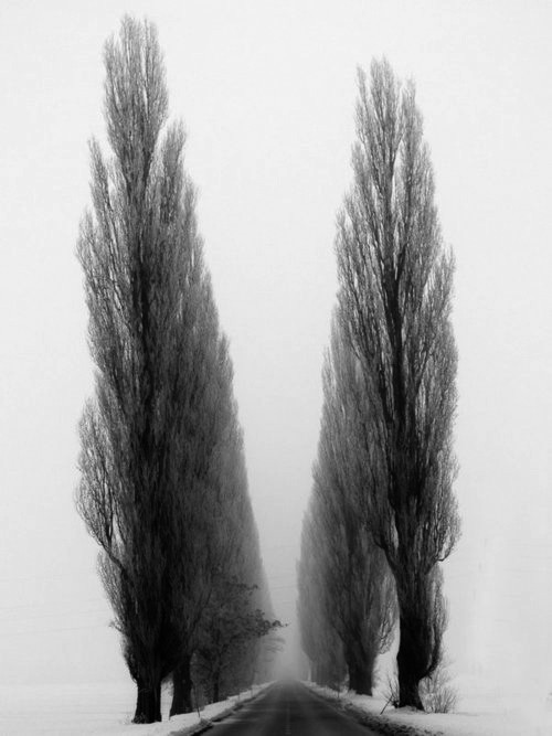 Archillect ID 26193