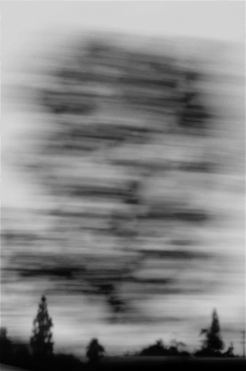 Archillect ID 26240