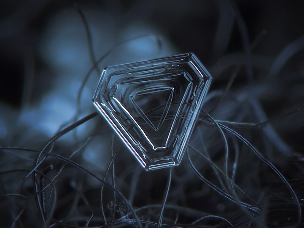 Archillect ID 26276