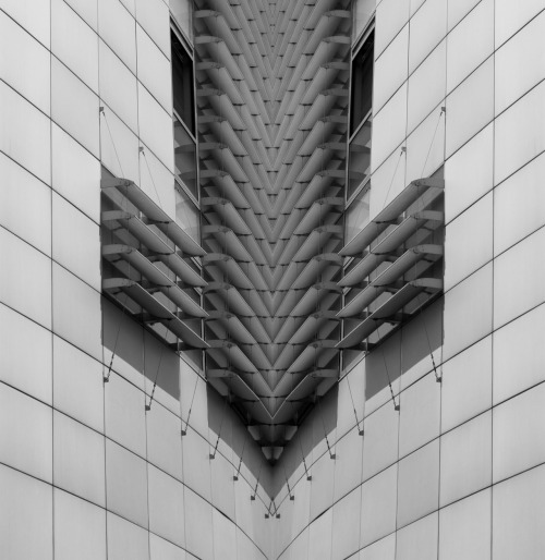 Archillect ID 26347