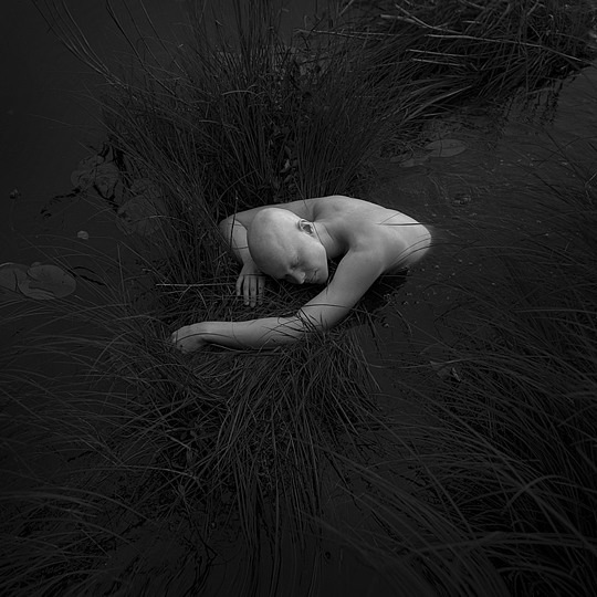 Archillect ID 26502