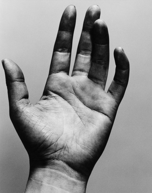 Archillect ID 26507