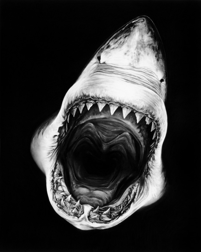 Archillect ID 26525