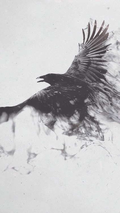 Archillect ID 26550