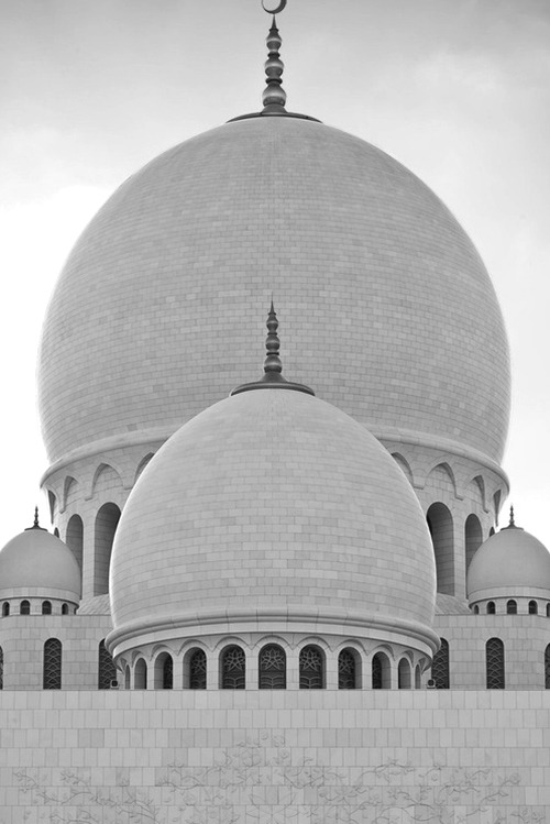 Archillect ID 26562