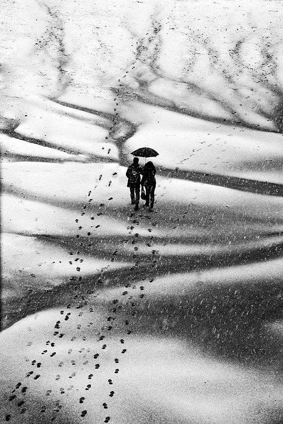 Archillect ID 26638