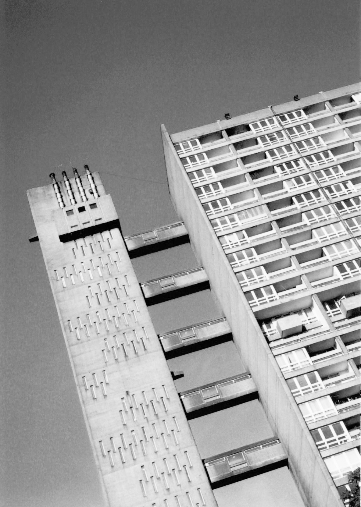 Archillect ID 26723
