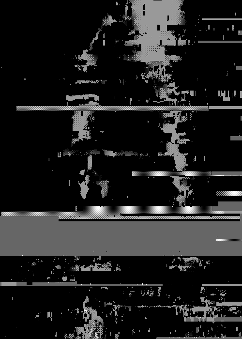 Archillect ID 26772