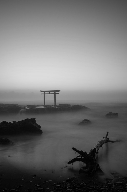 Archillect ID 26835