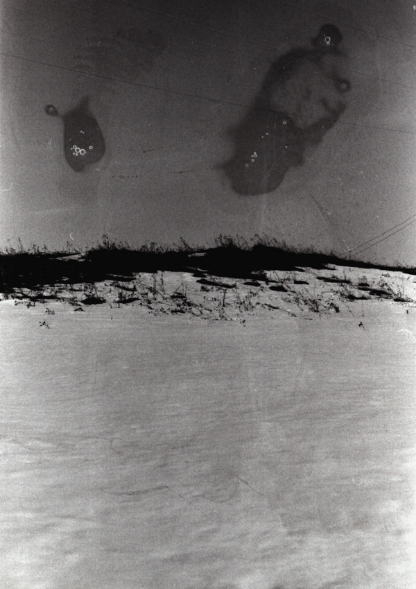 Archillect ID 26945