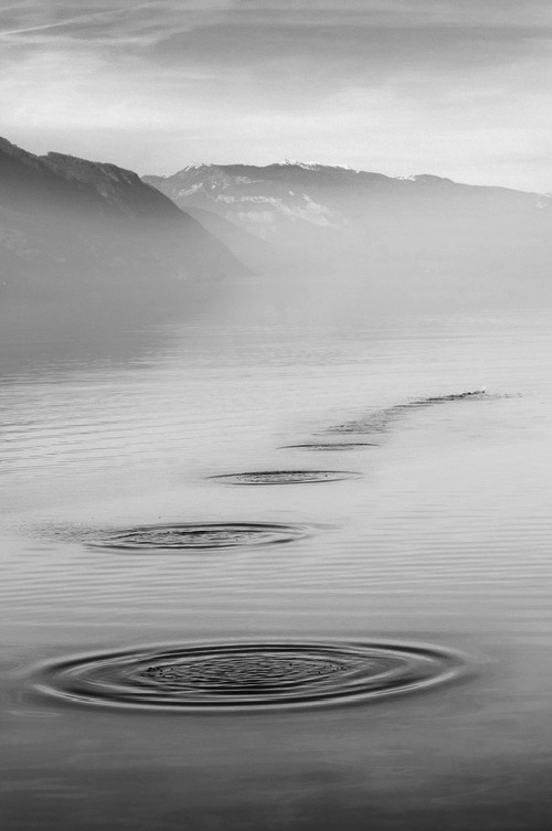 Archillect ID 27118