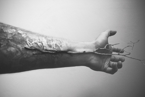 Archillect ID 27133