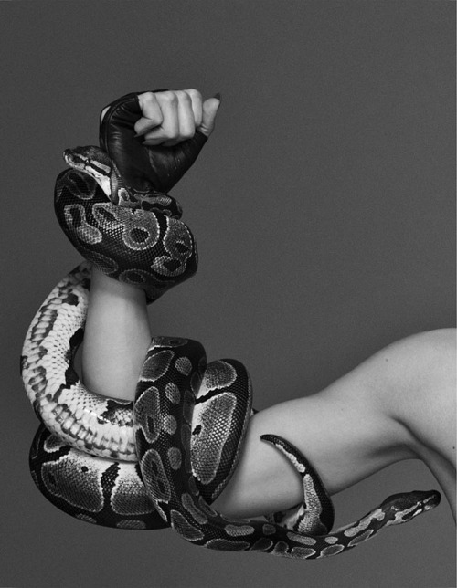 Archillect ID 27214