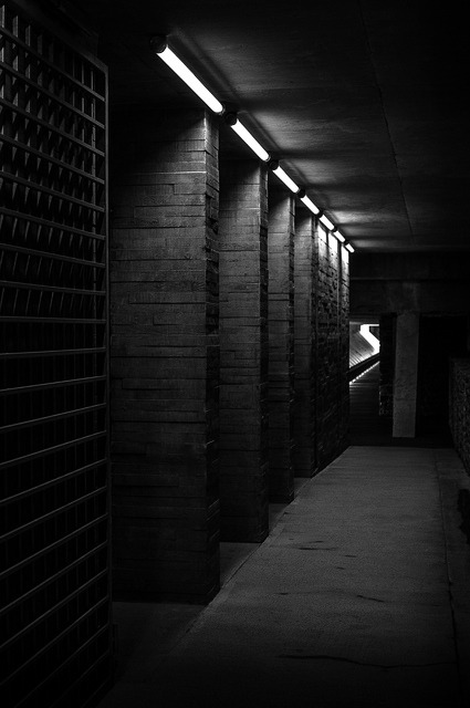 Archillect ID 27236